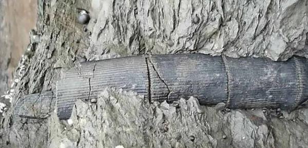 No, China’s Baigong Pipes Aren’t Alien Artifacts » Explorersweb