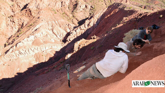 One of world’s oldest dinosaurs discovered in Argentina – Arab News PK