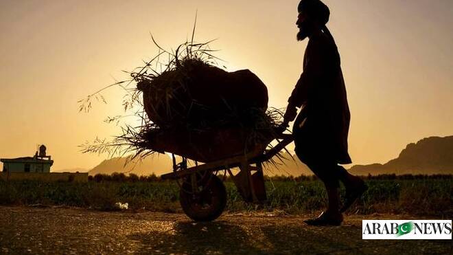 Handling of UK Afghan data breach ‘alarming’: MP