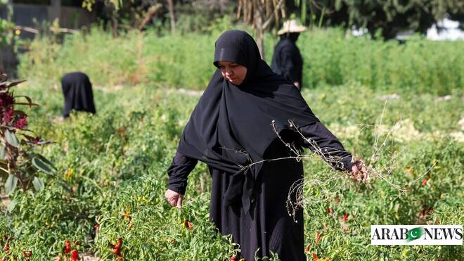 Nearly a year after truce, women in south Lebanon say war never ended