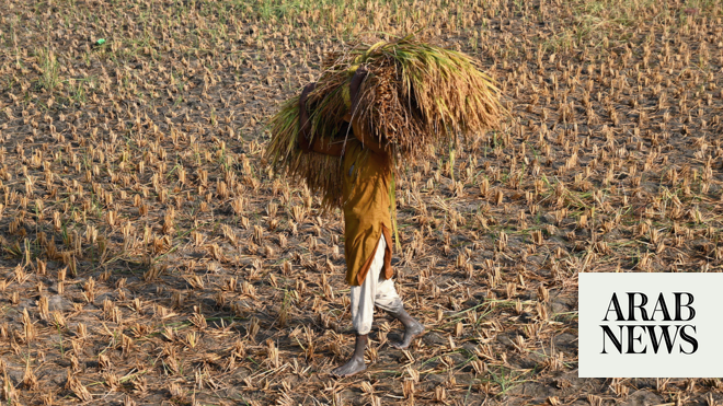 Pakistan’s growth forecast at 3 percent as World Bank calls for reforms, flood recovery measures