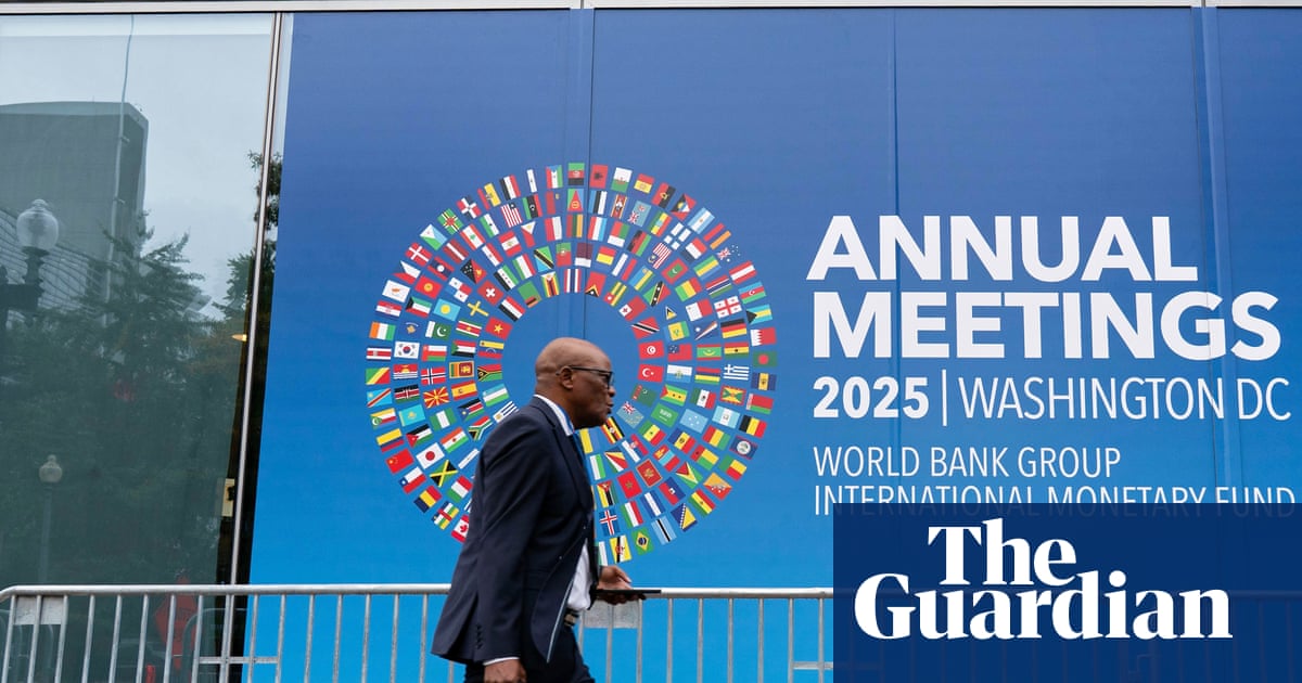 Global government debt on course to hit 100% of GDP by 2029, IMF warns | Global economy