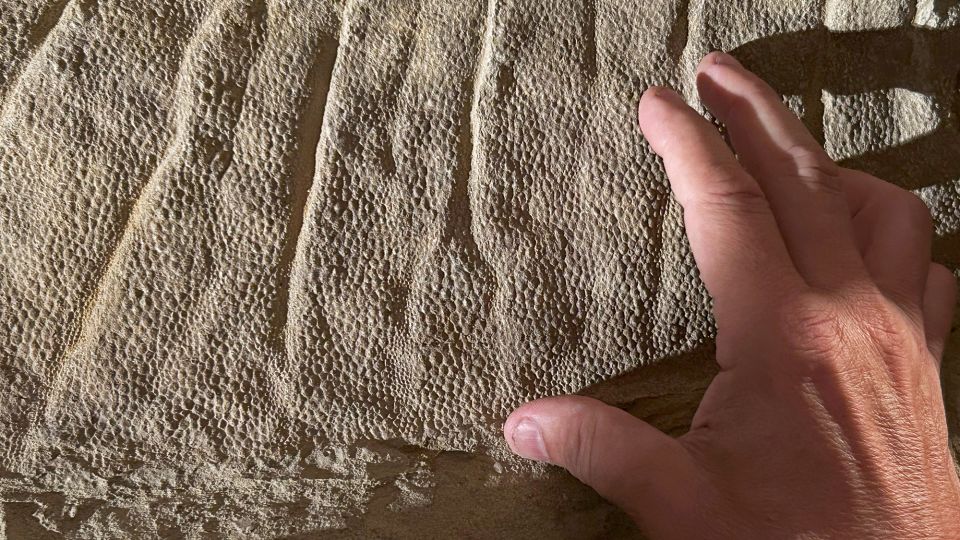66 million-year-old dinosaur ‘mummy’ skin was actually a perfect clay mask