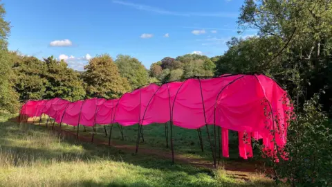 BBC Large pink sheets shaped to look like a caterpillar, it has black rods running through it and is placed in long grass. 