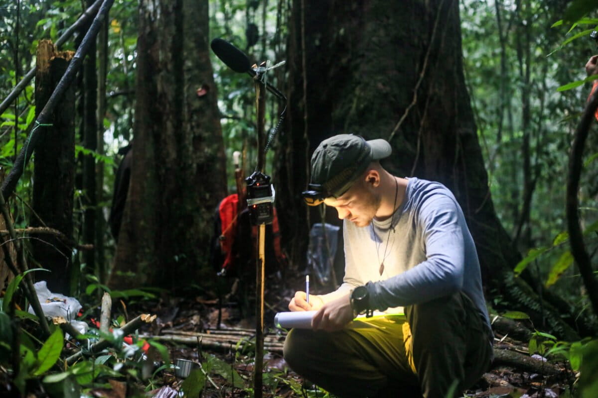 Primatology goes high tech — from bioacoustics to drones & AI