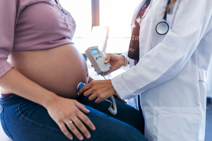 Gut bacteria found to regulate placenta paves way for probiotic pregnancy care