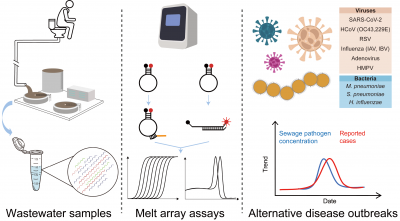 Two-step wastewater surveillance reveals co-circulation of respiratory pathogens during the 2023–2024 influenza season in a low-resource setting