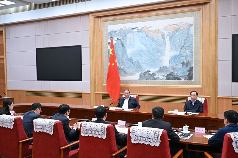 Chinese premier holds symposium on economic situation
