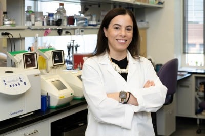 UIC Study of Blood Stem Cells Asks: Can We Slow Aging on a Cellular Level?