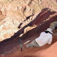 One of world’s oldest dinosaurs discovered in Argentina | News