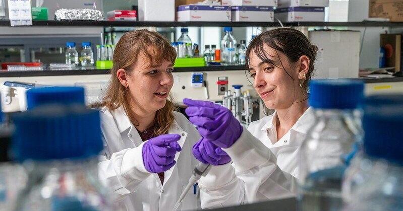 Discovery paves way for potential male birth control pill | Health