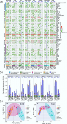 Rhizosphere metabolites influence the spread of antibiotic resistance genes in soil-plant systems