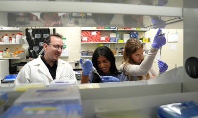 Scientists Find Ways to Boost Memory in Aging Brains