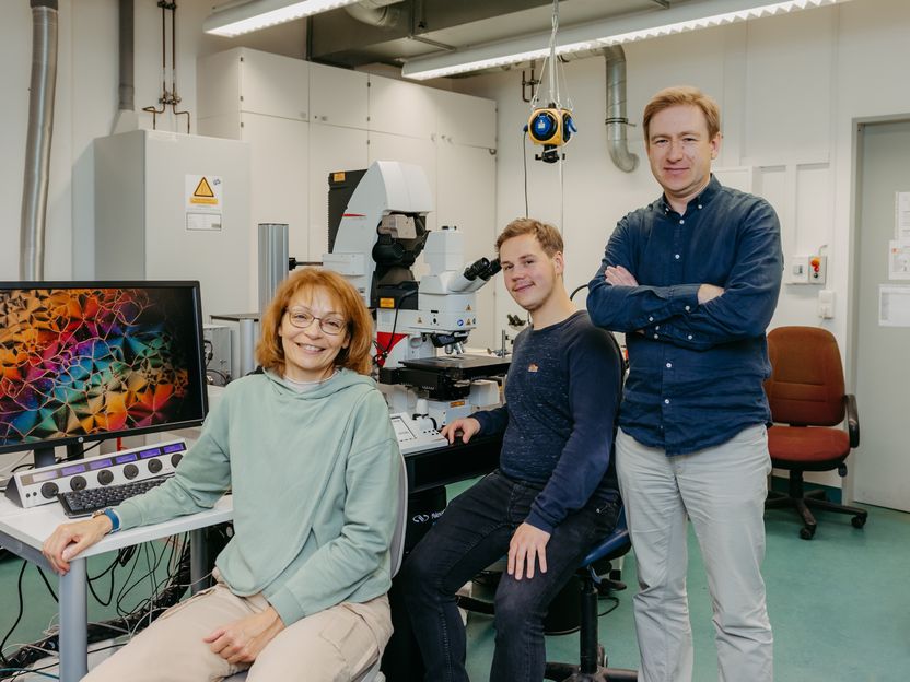 Researchers at the University of Magdeburg discover new class of materials