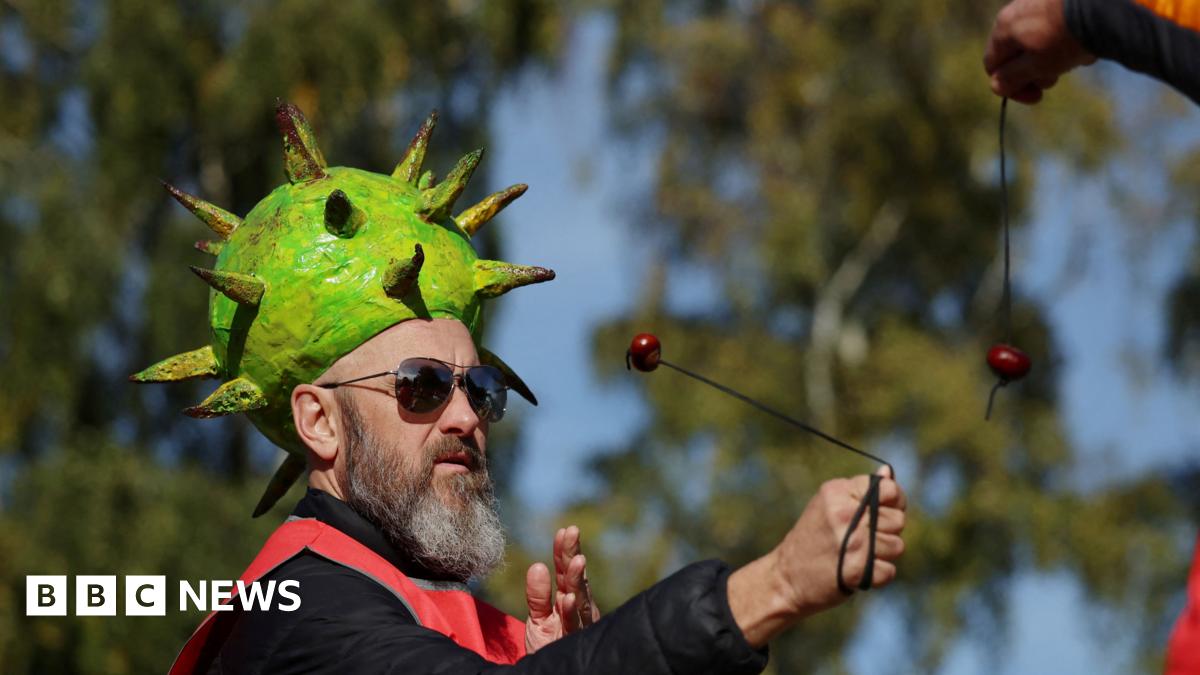 World Conker Championships live from Southwick, Northamptonshire