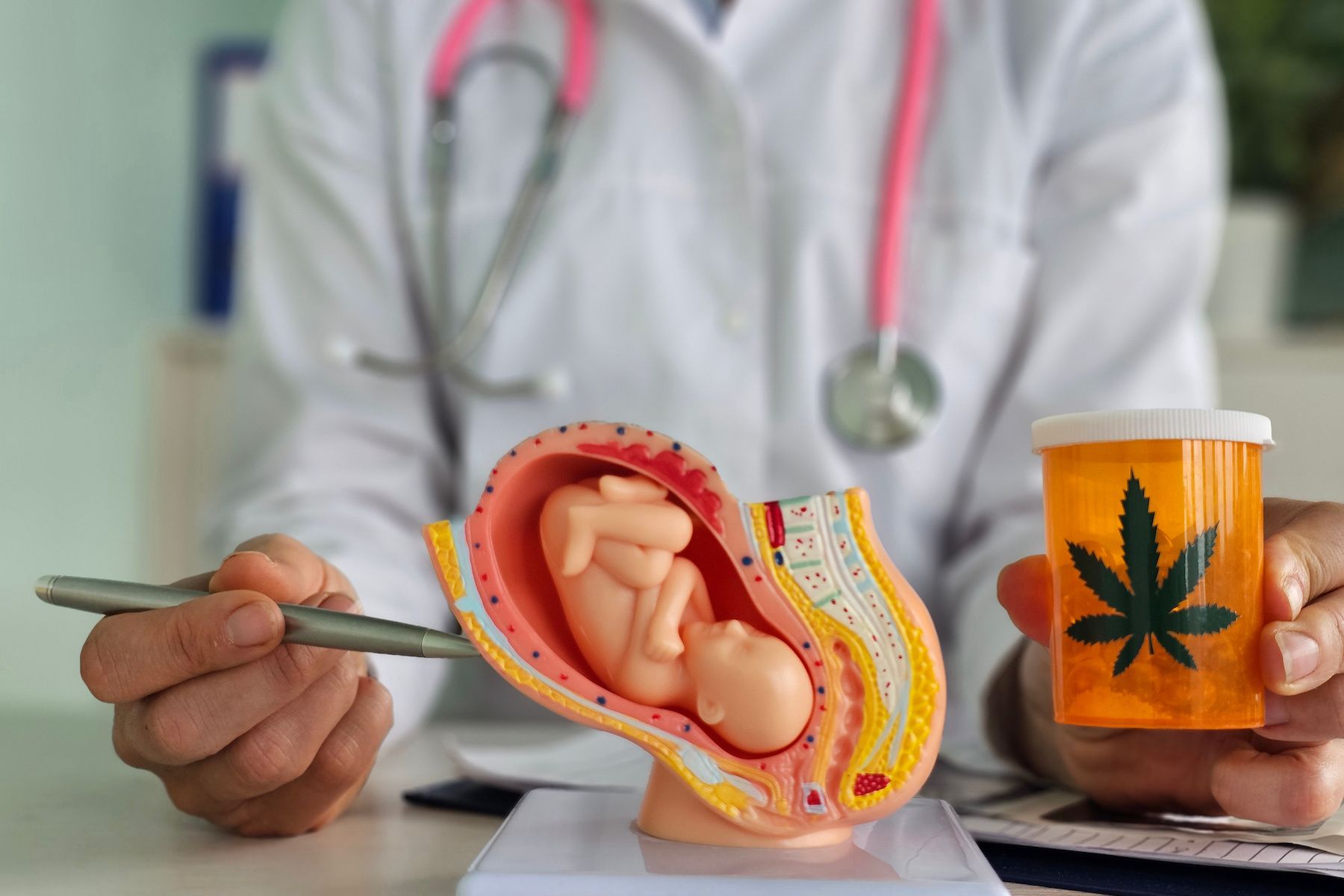 Provider Judgment On Cannabis Use During Pregnancy Causes Patient Mistrust