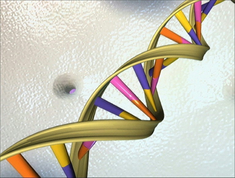 Genomics study detects rare diarrheal infections