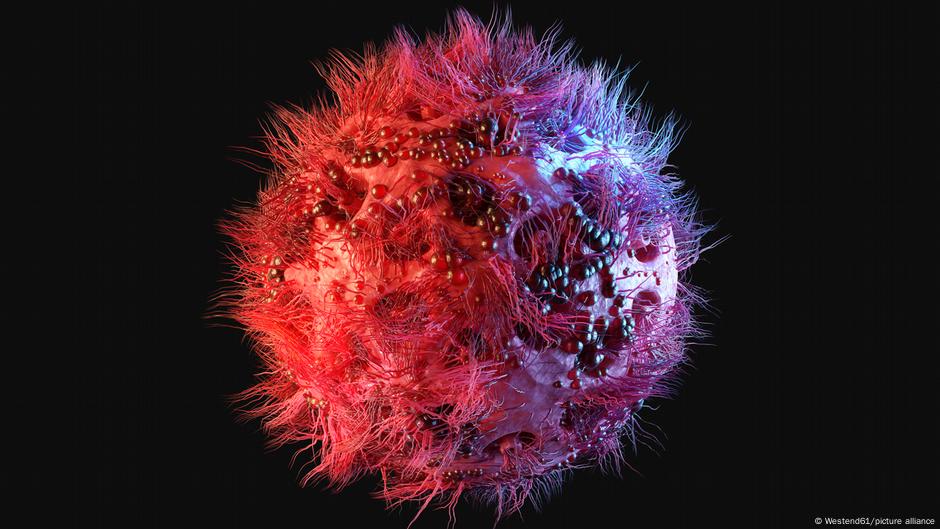German researchers find highly effective HIV antibody – DW – 10/15/2025