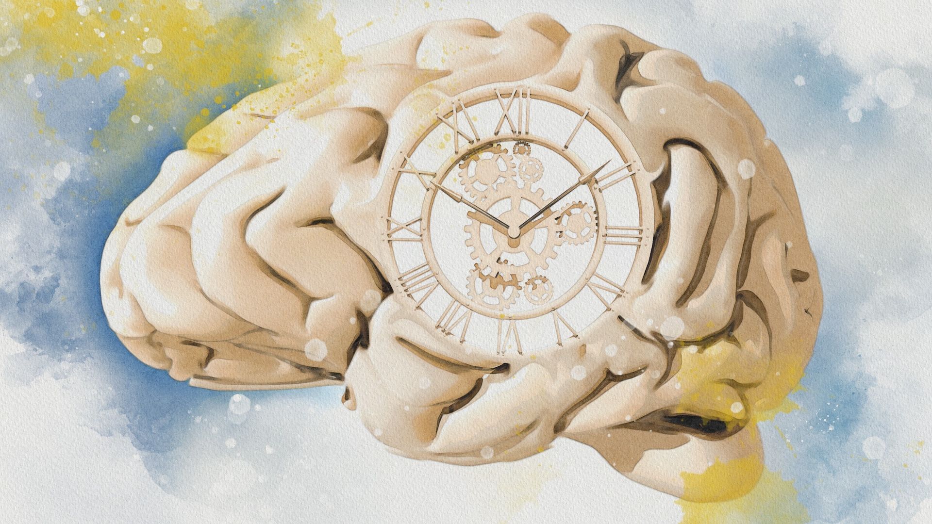 New study reveals why time seems to move faster the older we get