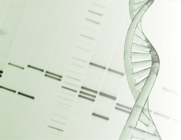 Evolutionary mutation in cGAS enhances naked mole-rat DNA repair