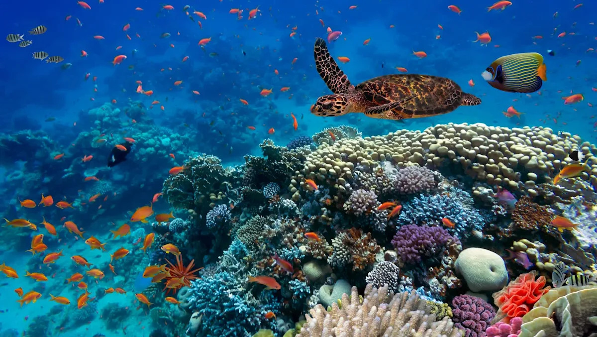 Scientists stunned by discovery inside 200-year-old coral structure: ‘An unexpected … signal’