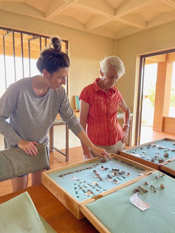 Hand and foot fossils found in Kenya for ancient human relative