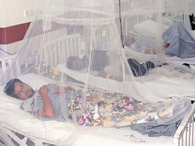K-P struggles to contain dengue outbreak