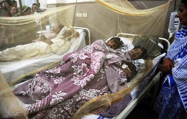 Multan launches anti-dengue drive