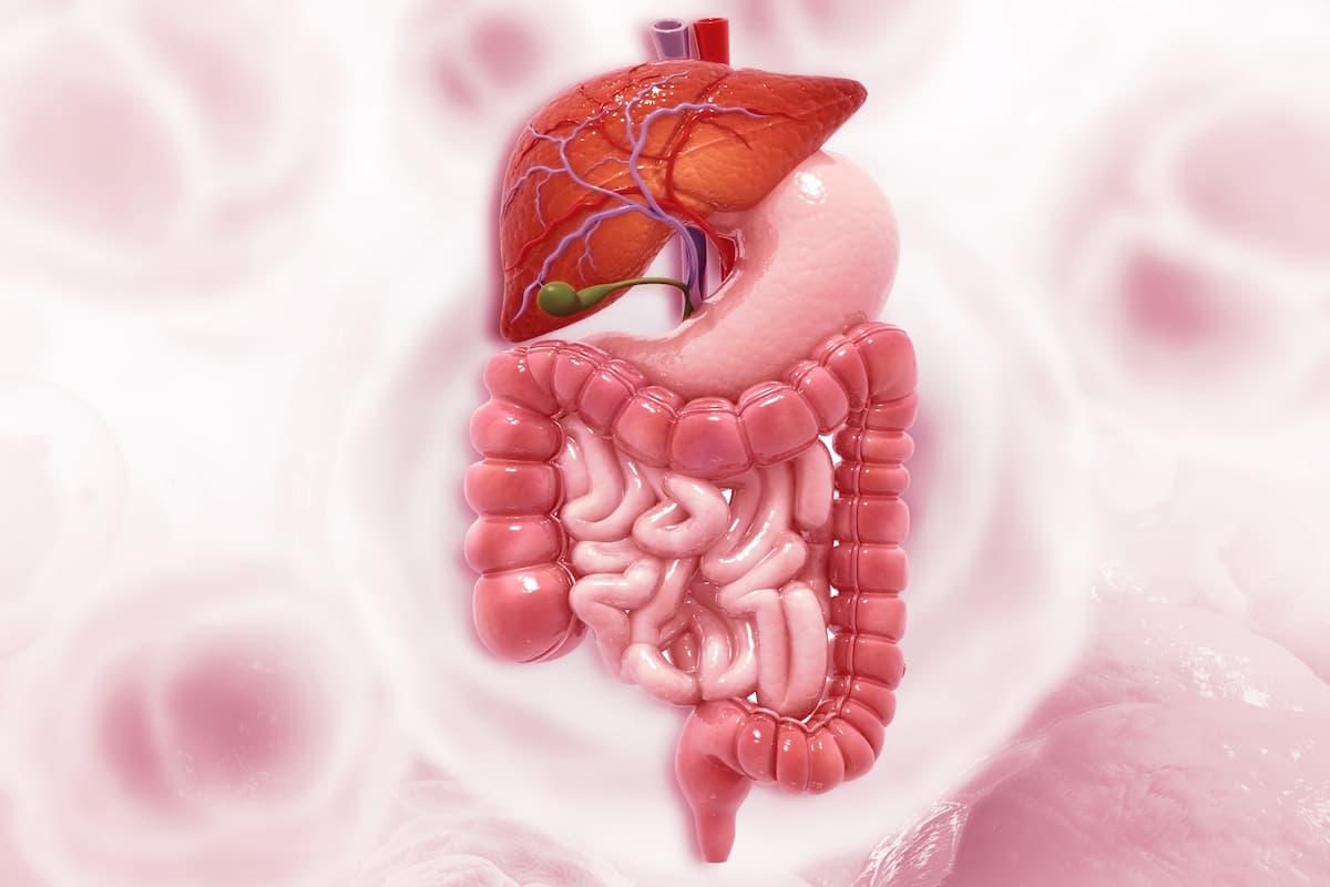 Regorafenib/Nivolumab Exhibits Nonsuperior Survival in Gastric Cancer