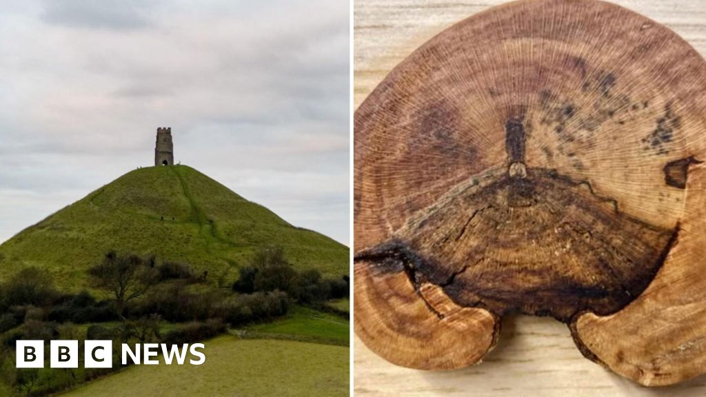 Glastonbury Tor image found preserved in log near Bath