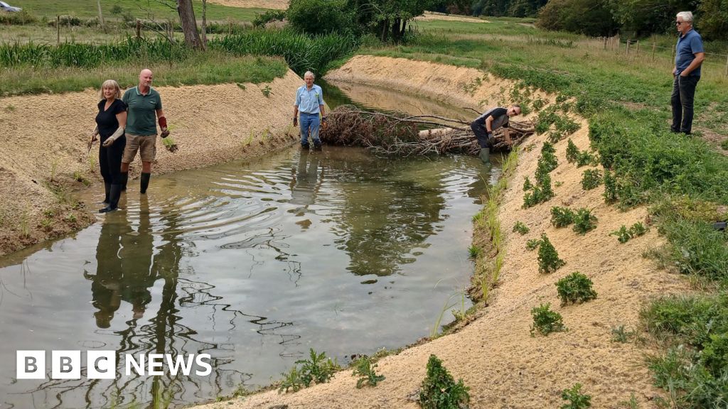 Hertford’s rare chalk river restored to its original course