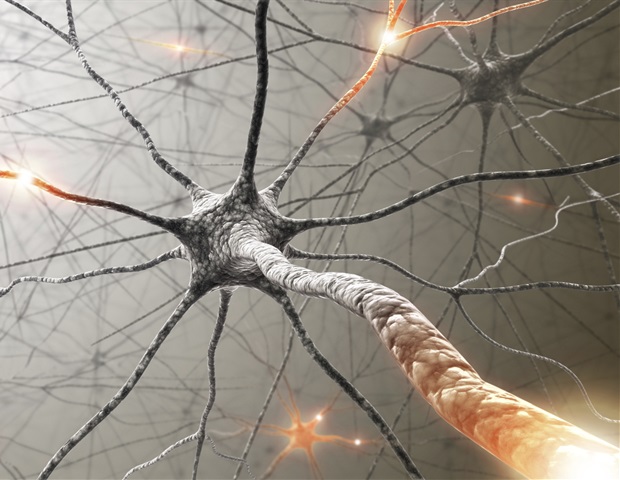 New drug candidates show promise for restoring myelin in MS