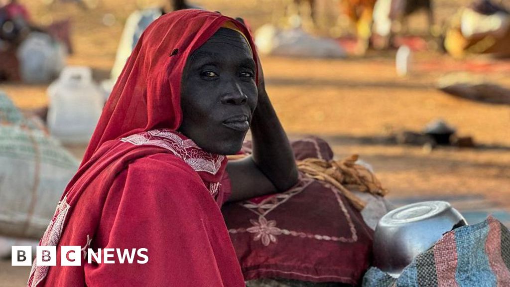 Reports of mass killings in el-Fasher in Darfur have echoes of country’s dark past