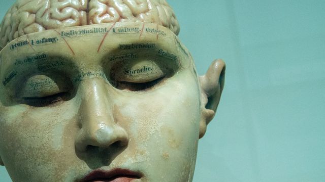 Living Brain Study Reveals What Autopsies Miss