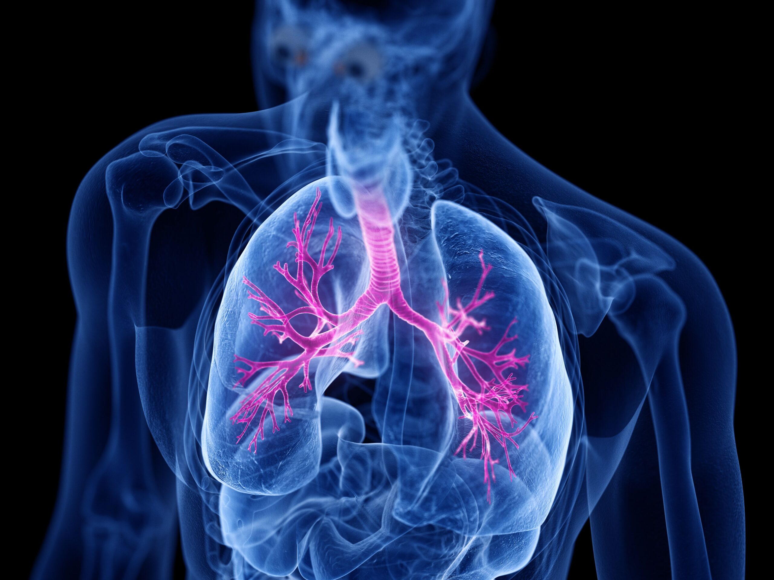 Study: Increased Serum cAMP Levels Observed in Patients With Asthma