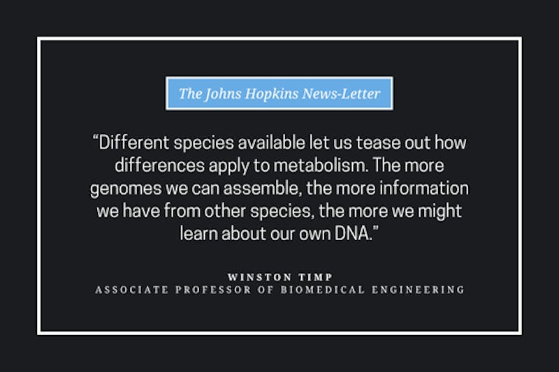 Nanopores, hummingbirds and pies at the Timp Lab