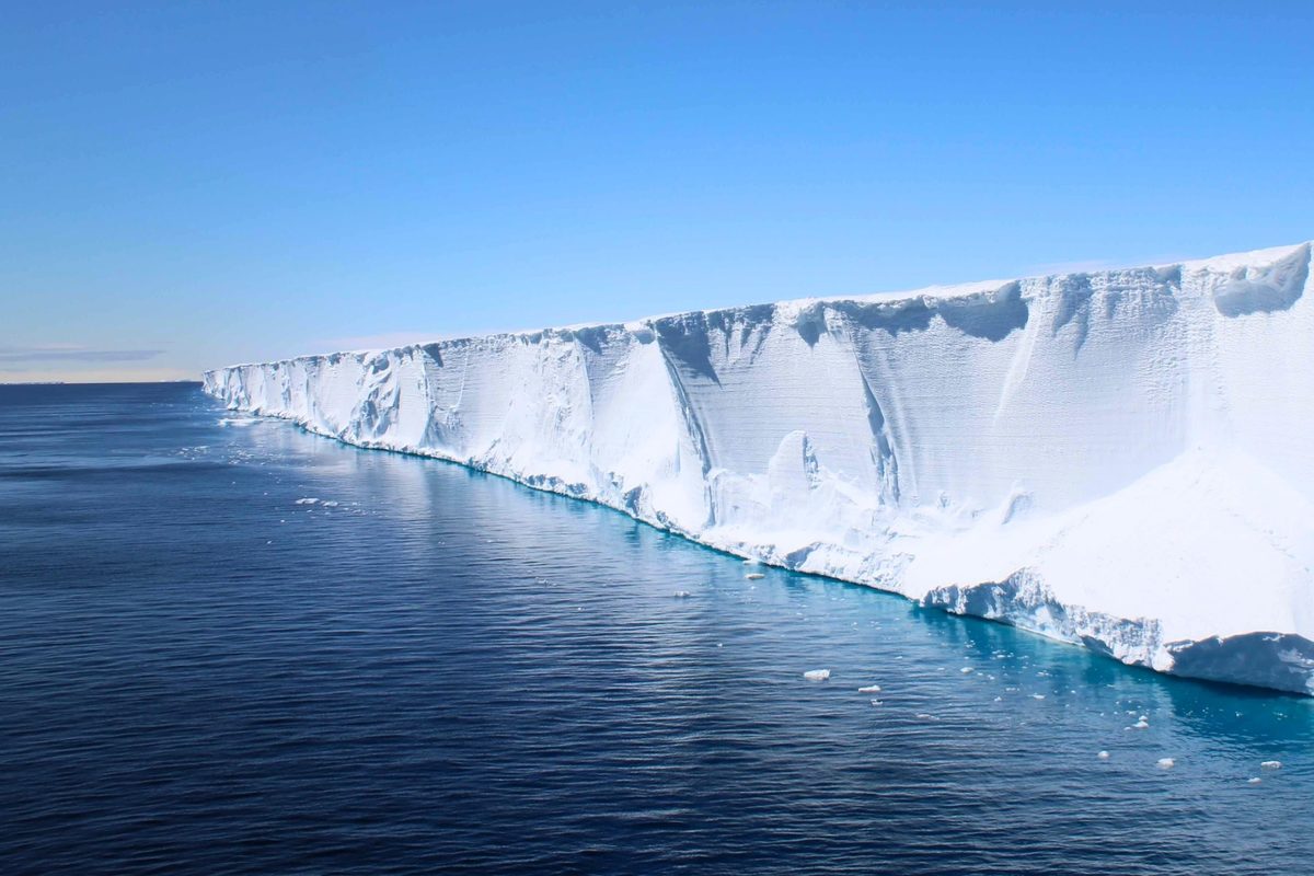 Gigantic iceberg breaks free in Antarctica, revealing ghostly mega-nest beneath