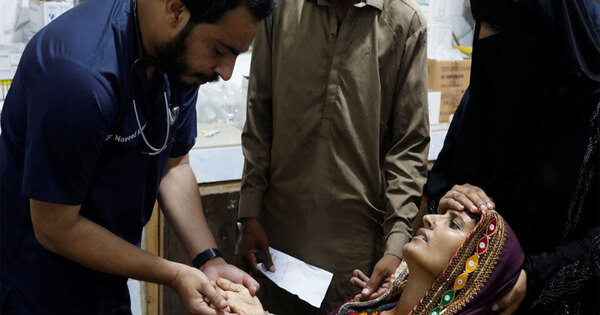 Government apathy and data manipulation deepen Sindh’s medical crisis