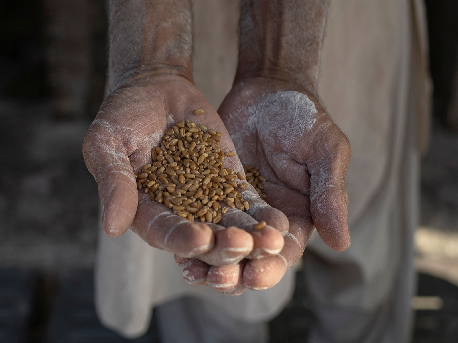 Neglect, poor governance worsen wheat flour crisis in Khyber Pakhtunkhwa