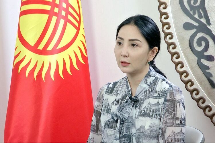 Kyrgyz ambassador outlines priorities during SCO chairmanship