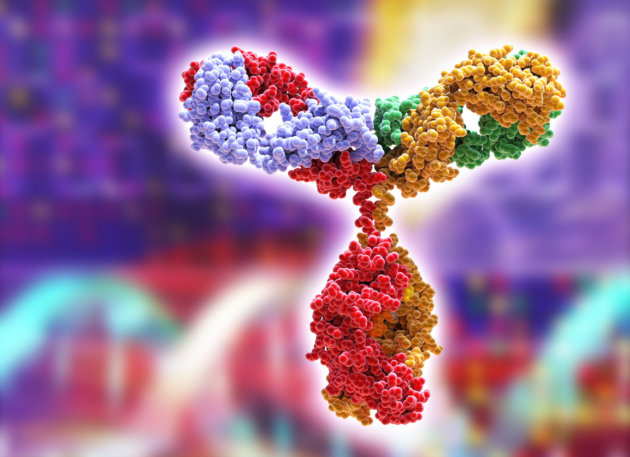 Engineered Antibodies Prove Effective in Drug-Resistant Breast Cancer