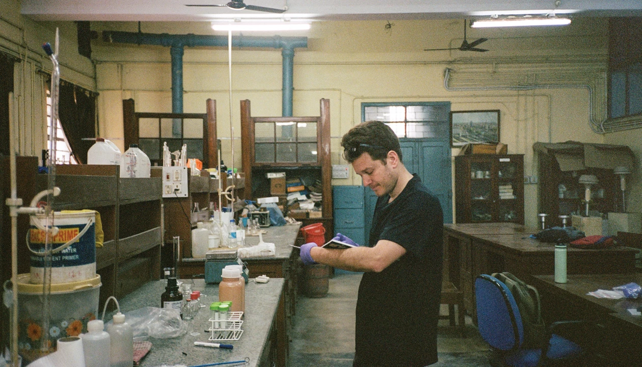 Recovering arsenic from wastewater sludge