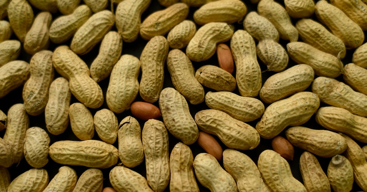 2015 guidelines helped 60,000 kids avoid peanut allergies, study finds – Deseret News