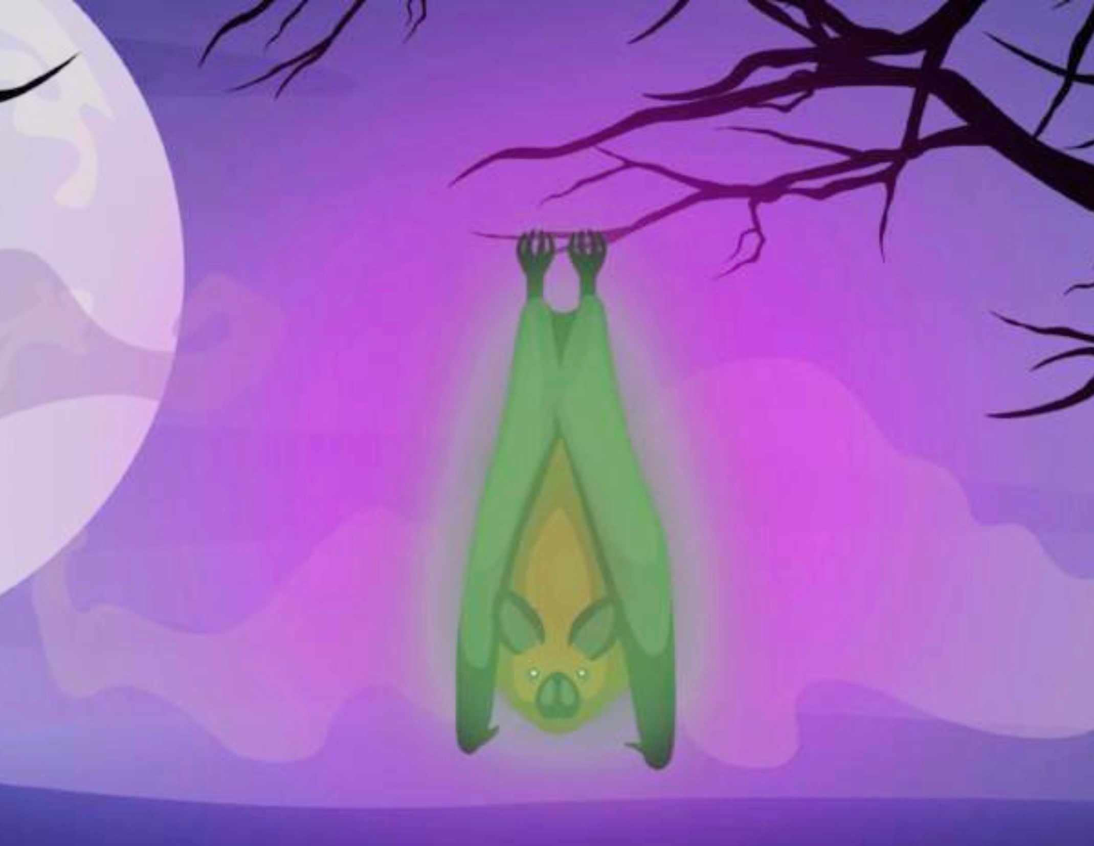 Bats found to glow bright green in ultraviolet light