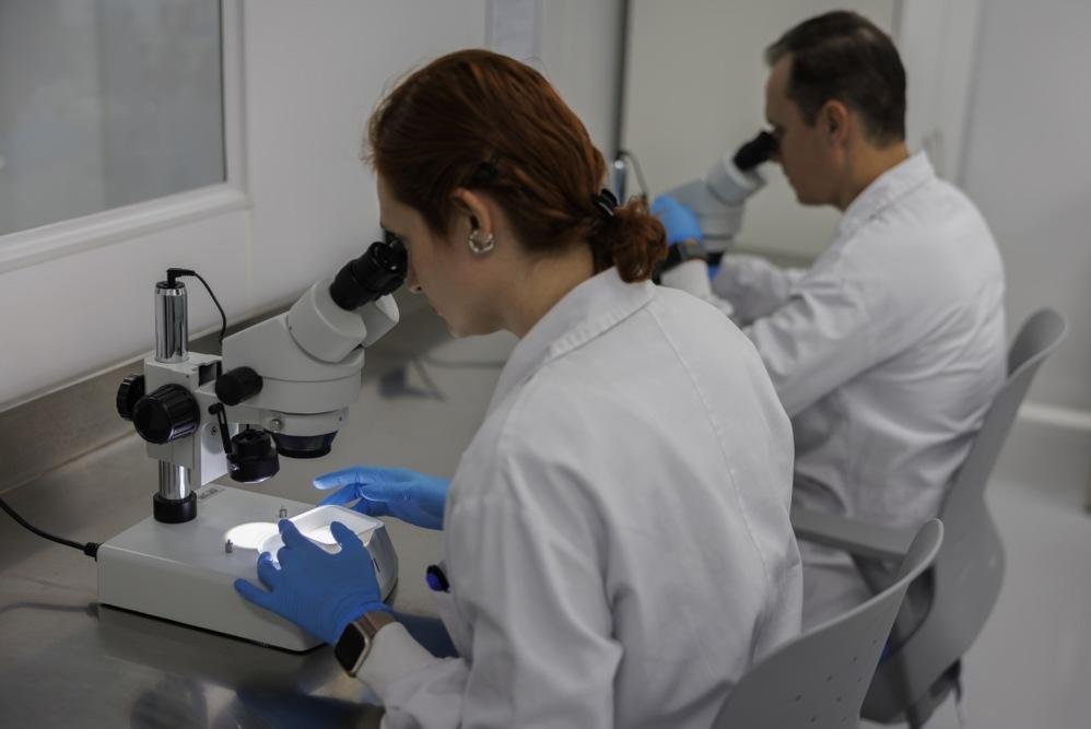 Brazil opens world’s largest mosquito biofactory to fight disease