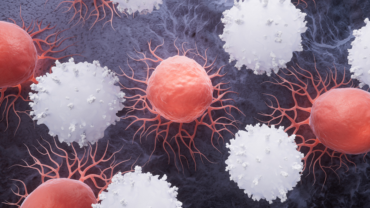 Study Suggests COVID MRNA Vaccines Help Fight Cancer Too : ScienceAlert
