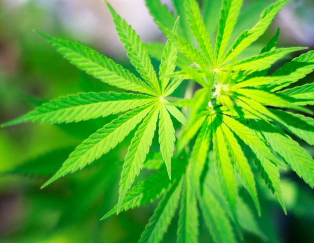 Caraway seeds inspire new seizure-fighting medicines
