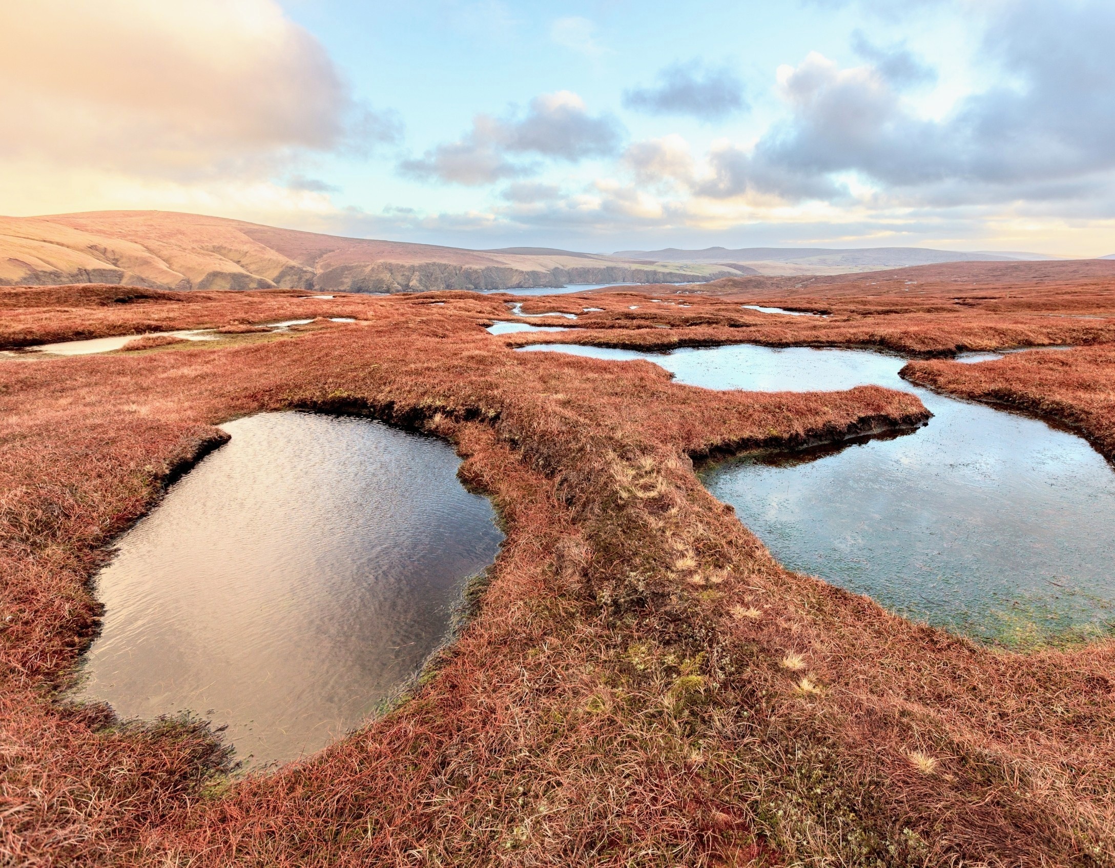 Why peatlands may start leaking massive amounts of carbon