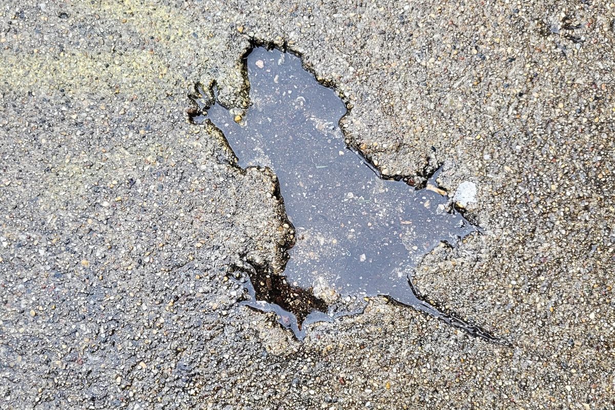 Remember the Chicago Rat Hole, found on a city sidewalk? Turns out it wasn’t a rat after all…