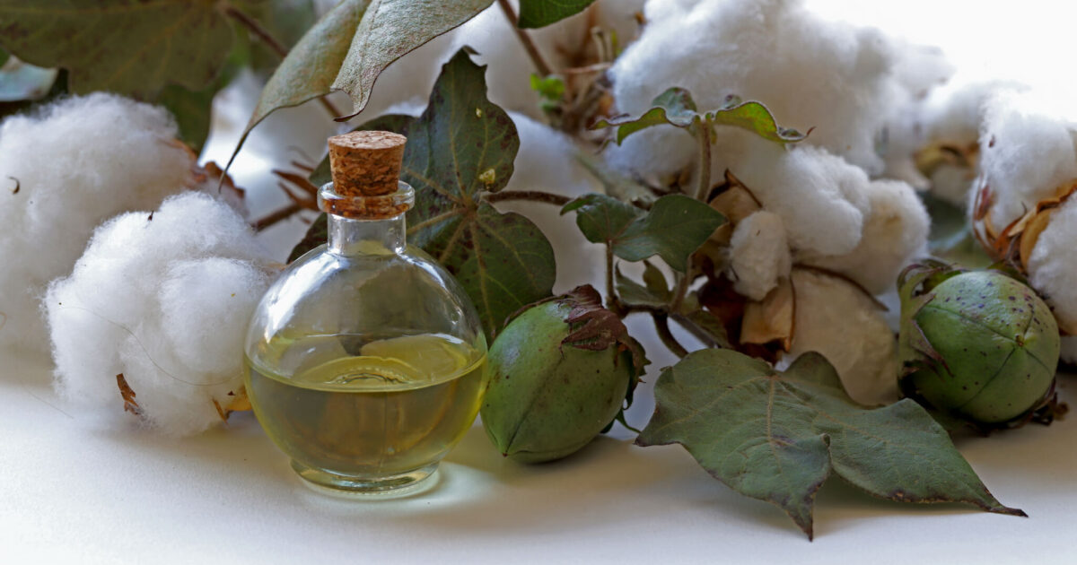 Researchers use epoxidised cottonseed oil for textile finishes